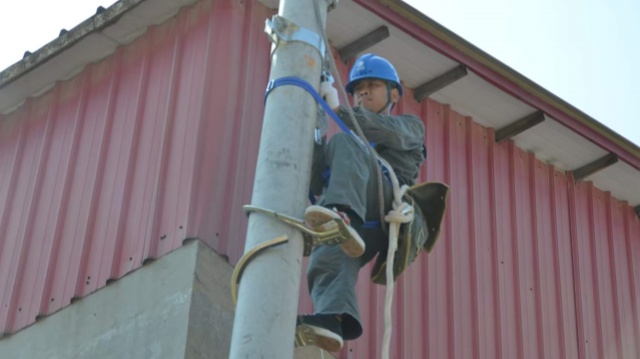 國(guó)網(wǎng)上蔡縣供電公司：進(jìn)行線路升級(jí)改造 有效提升電壓質(zhì)量