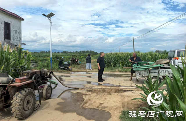 駐馬店市驛城區(qū)沙河店鎮(zhèn)：抗旱保苗齊努力 澆水潤田共擔當