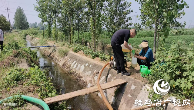 駐馬店市驛城區(qū)沙河店鎮(zhèn)：抗旱保苗齊努力 澆水潤田共擔當
