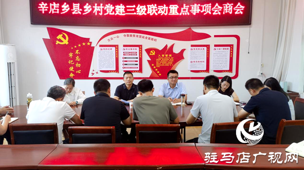 平輿縣辛店鄉(xiāng)：一線督導(dǎo)解難題，三級聯(lián)動強攻堅