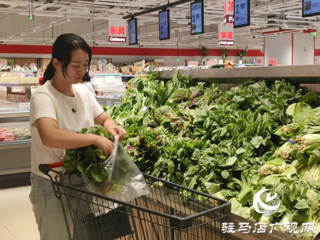 “平價(jià)護(hù)眼菜”莧菜大量上市 營養(yǎng)美味引市民熱購
