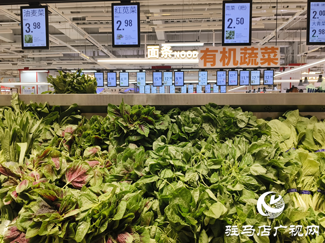 “平價(jià)護(hù)眼菜”莧菜大量上市 營養(yǎng)美味引市民熱購