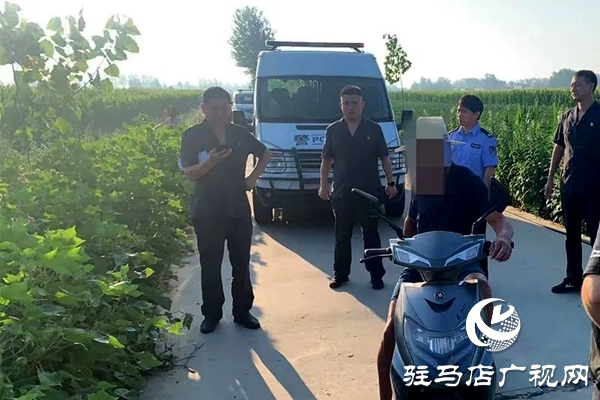 平輿縣人民法院：火力全開(kāi)，不懼“烤”驗(yàn)再出發(fā)！