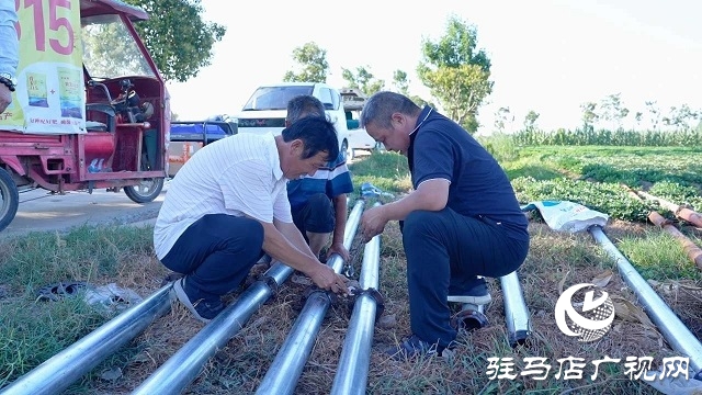  新蔡縣磚店鎮(zhèn)：干群同心抗旱情 全力保秋穩(wěn)增收