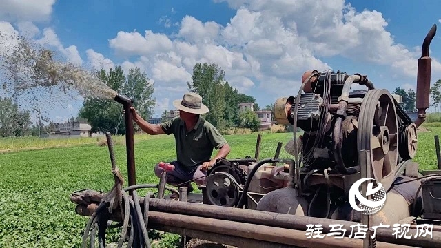 新蔡縣磚店鎮(zhèn)：干群同心抗旱情 全力保秋穩(wěn)增收