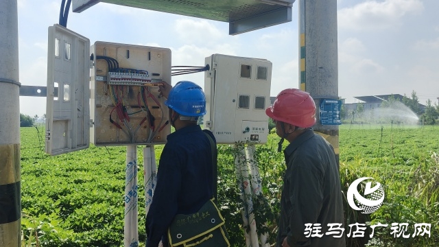 國(guó)網(wǎng)新蔡供電公司全力抗旱保電 守護(hù)民生與農(nóng)耕&ldquo;生命線&rdquo;