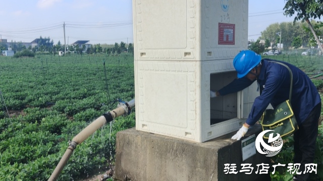 國(guó)網(wǎng)新蔡供電公司全力抗旱保電 守護(hù)民生與農(nóng)耕&ldquo;生命線&rdquo;