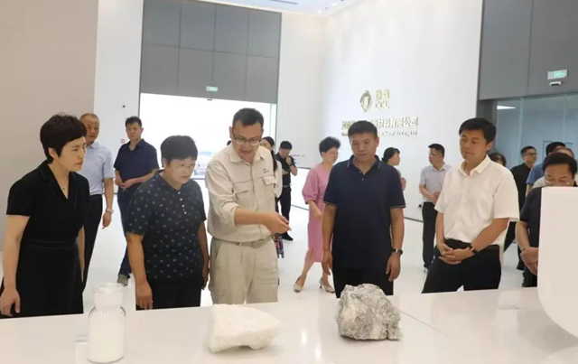 駐馬店職業(yè)技術(shù)學(xué)院校長宋華民帶隊(duì)開展“訪企拓崗”專項(xiàng)行動