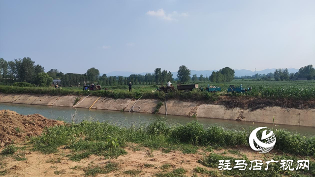 駐馬店市驛城區(qū)：多措并舉戰(zhàn)旱情 齊心協(xié)力保秋糧