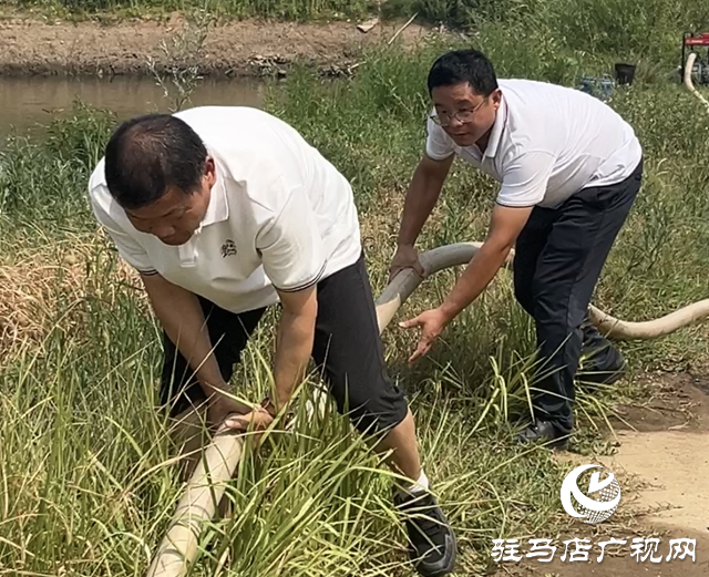 驛城區(qū)香山街道：多源聯(lián)動為秋作物“解渴”