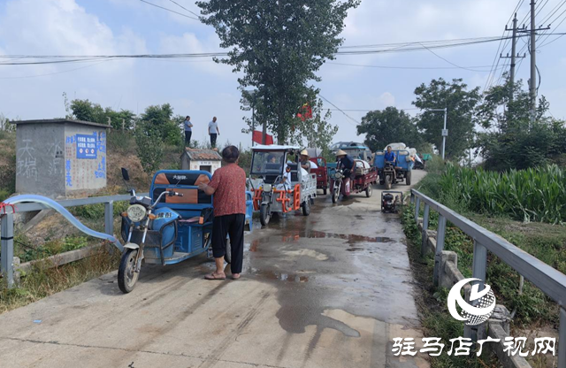 驛城區(qū)沙河店鎮(zhèn)：抗旱施策出硬招 保收集力見實效