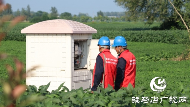 國(guó)網(wǎng)正陽(yáng)縣供電公司：電力護(hù)航戰(zhàn)旱情 清流潤(rùn)田解民憂