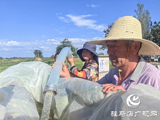 驛城區(qū)沙河店鎮(zhèn)：高溫抗旱保民生 臨時(shí)取水點(diǎn)解民憂