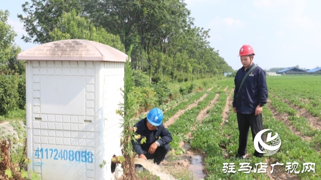 國(guó)網(wǎng)正陽(yáng)縣供電公司：電力護(hù)航戰(zhàn)旱情 清流潤(rùn)田解民憂