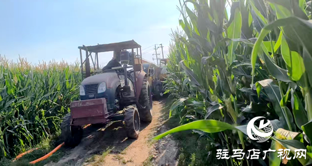 與時間賽跑！大余莊社區(qū)爭分奪秒修井保玉米灌溉