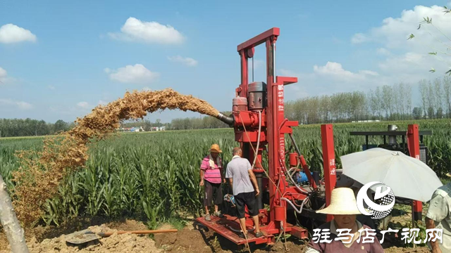 遂平縣玉山鎮(zhèn)：多點(diǎn)發(fā)力抗旱保秋 筑牢糧食安全防線