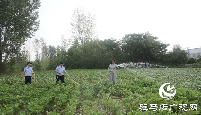 助農(nóng)抗旱保豐收 民警田間顯擔(dān)當(dāng)