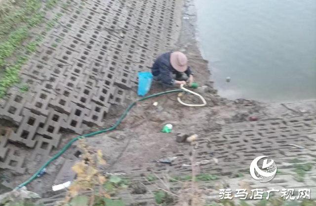 泌陽縣賒灣鎮(zhèn)：抗旱一線顯擔當 舍魚保田為豐收