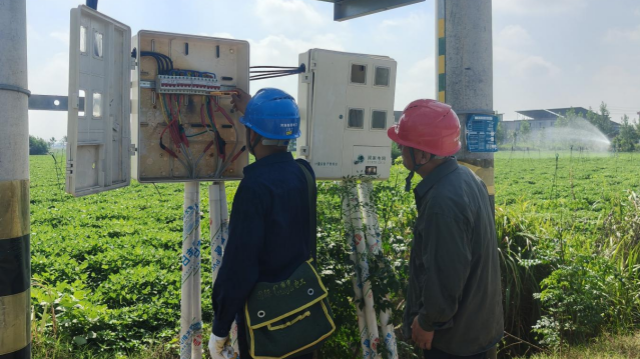 駐馬店供電公司：多舉措抗旱保供 全力保障農(nóng)業(yè)生產(chǎn)