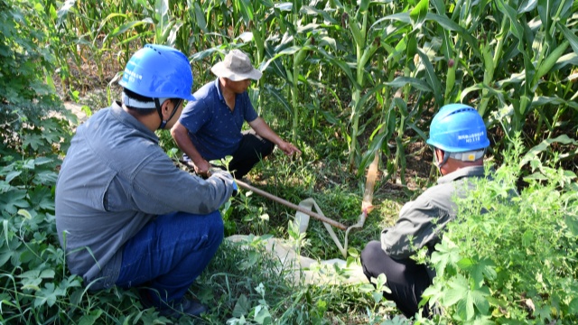 國(guó)網(wǎng)確山縣供電公司:開(kāi)辟用電報(bào)裝“綠色通道”隨時(shí)響應(yīng)抗旱保秋用電需求