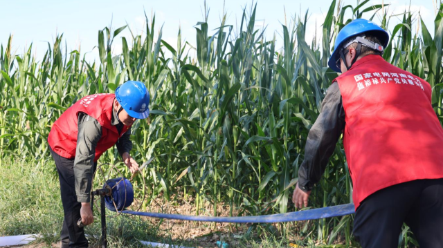 駐馬店供電公司：多舉措抗旱保供 全力保障農(nóng)業(yè)生產(chǎn)