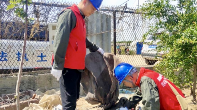 國網(wǎng)西平縣供電公司：精準(zhǔn)施策抗旱保電 筑牢農(nóng)田“電力防線”