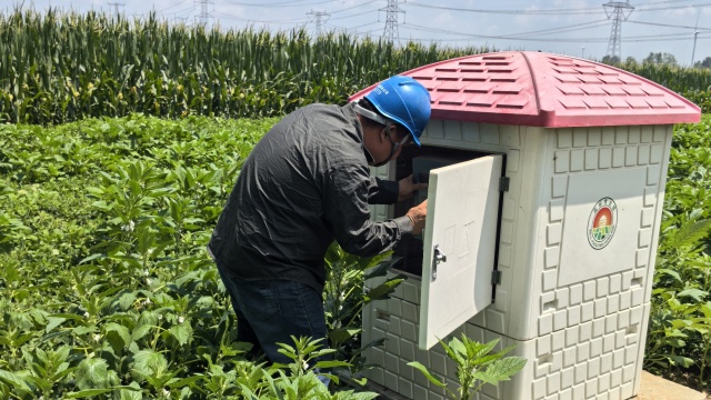 國(guó)網(wǎng)上蔡縣供電公司：以充足電力保障農(nóng)田灌溉