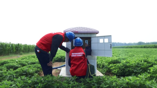 國網(wǎng)泌陽縣供電公司：積極開展&ldquo;抗旱保供黨員先行&rdquo;主題黨日活動(dòng)