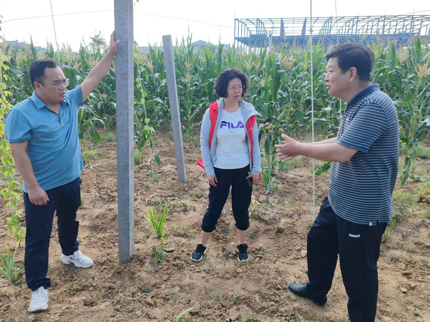 用科技力量守護(hù)“道地藥香”　助力“中國(guó)藥谷”建設(shè)