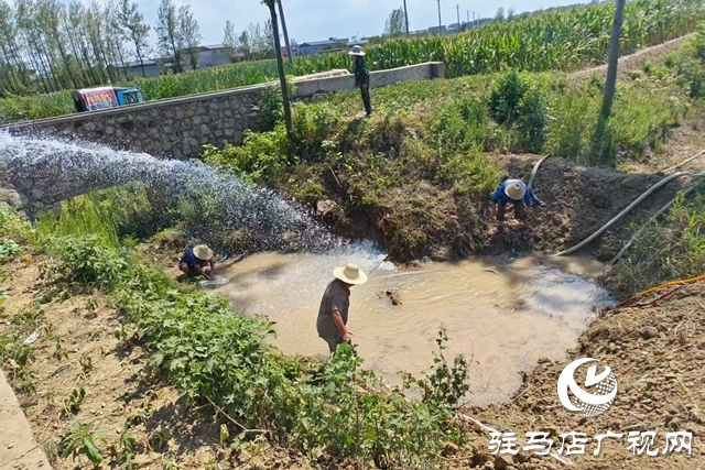 遂平陽(yáng)豐鎮(zhèn)：打井引水 為農(nóng)田“解渴”