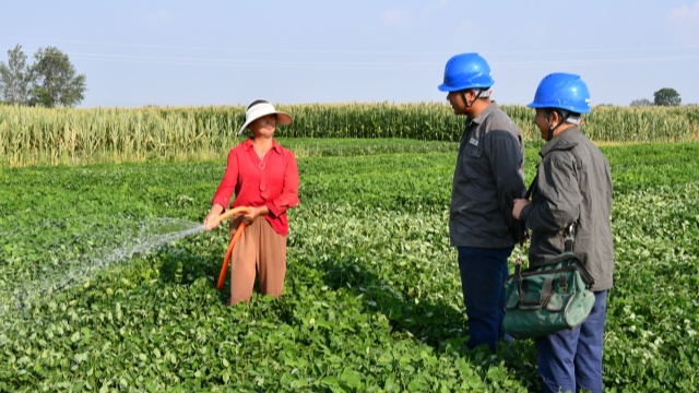 國(guó)網(wǎng)確山縣供電公司:開(kāi)辟用電報(bào)裝“綠色通道”隨時(shí)響應(yīng)抗旱保秋用電需求