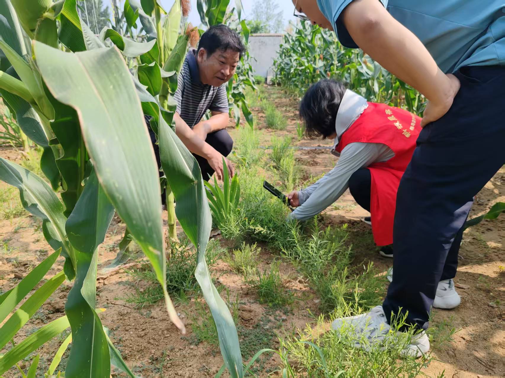 用科技力量守護(hù)“道地藥香”　助力“中國(guó)藥谷”建設(shè)