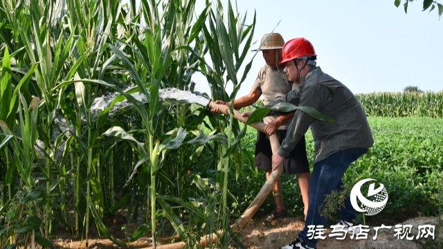 國網(wǎng)確山縣供電公司：汗水鑄就&ldquo;強電網(wǎng)&rdquo;  守護秋糧&ldquo;生命線&rdquo;