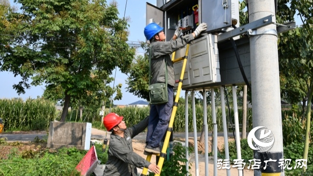 國網(wǎng)確山縣供電公司：汗水鑄就&ldquo;強電網(wǎng)&rdquo;  守護秋糧&ldquo;生命線&rdquo;