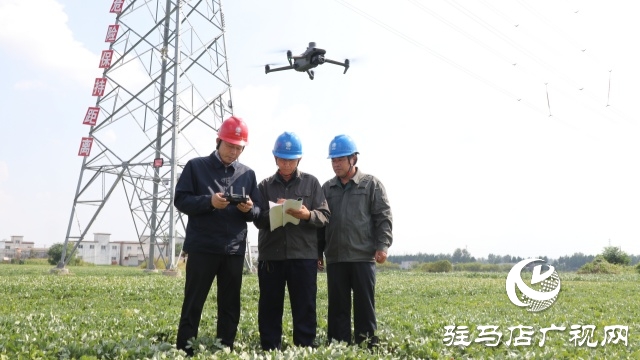 國網(wǎng)正陽縣供電公司：精益化巡檢 保障抗旱用電