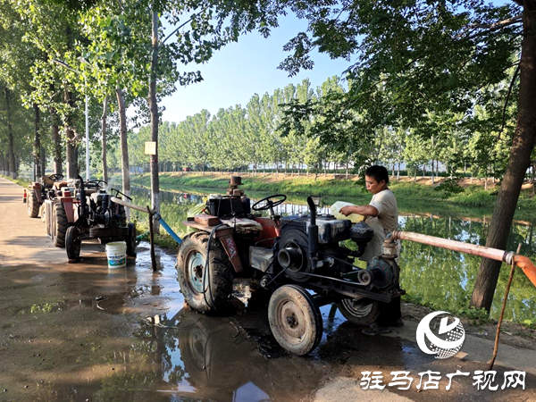 平輿縣李屯鎮(zhèn)三措并舉抗旱保秋 筑牢秋收豐收防線 
