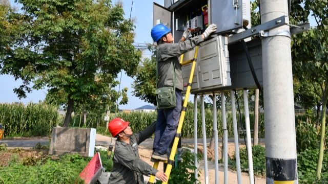 國(guó)網(wǎng)確山縣供電公司：汗水鑄就“強(qiáng)電網(wǎng)”  守護(hù)秋糧“生命線”