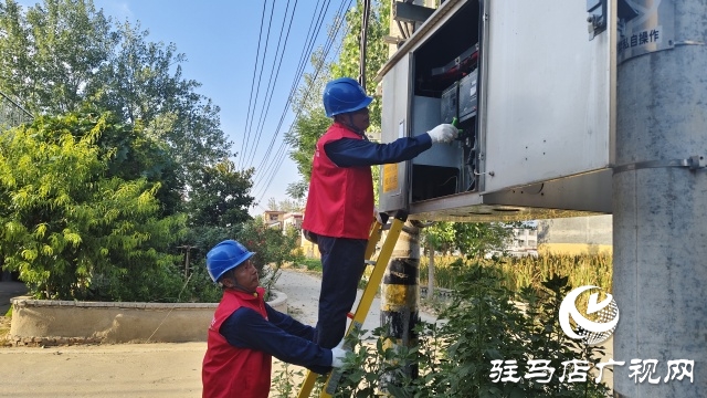 國(guó)網(wǎng)新蔡縣供電公司:精細(xì)排查筑根基 抗旱保秋顯實(shí)效