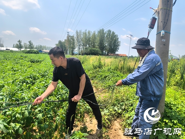 平輿縣：以12345政務(wù)服務(wù)熱線為橋化解旱情灌溉難題