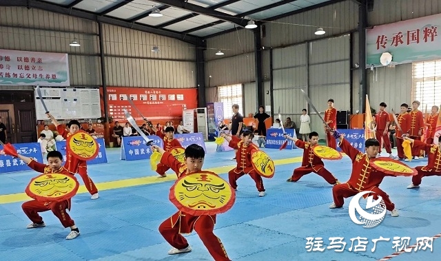 2025年新蔡縣“全民健身日”主題活動暨“奔跑吧·少年”武術交流大賽開幕