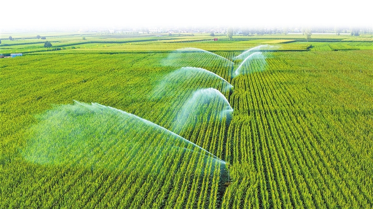 全力打好抗旱保秋攻堅(jiān)戰(zhàn)