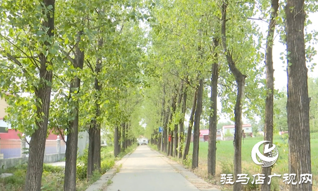 驛城區(qū)朱古洞村：文明生態(tài)村建設鋪就鄉(xiāng)村振興路
