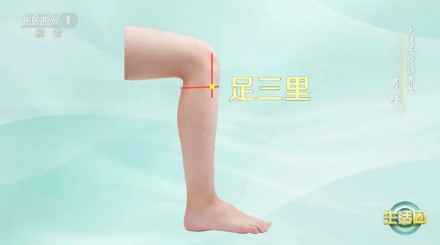 立秋如何養(yǎng)肺？怎么吃更健康？換季養(yǎng)生小貼士請(qǐng)查收