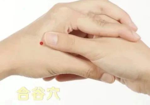 立秋如何養(yǎng)肺？怎么吃更健康？換季養(yǎng)生小貼士請(qǐng)查收