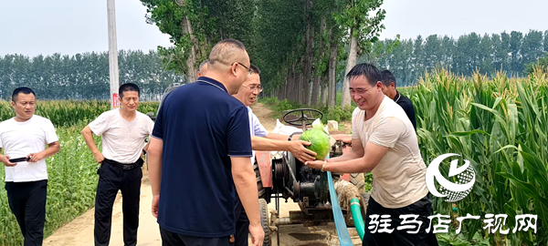 平輿縣中等職業(yè)學校助力“抗旱保秋”，守護群眾“糧袋子”