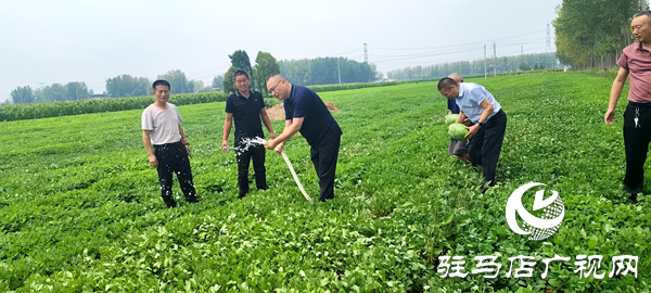 平輿縣中等職業(yè)學校助力“抗旱保秋”，守護群眾“糧袋子”