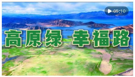 輝煌60載·魅力新西藏｜高原綠 幸福路