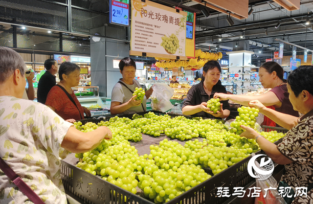 陽光玫瑰價格 “大跳水” 從 “貴族水果” 變市民餐桌?？? width=