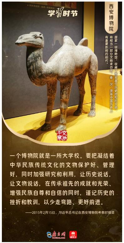 文脈華章丨暑期“博物館熱”，跟著總書(shū)記探尋中華文明