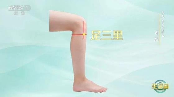 立秋如何養(yǎng)肺？怎么吃更健康？換季養(yǎng)生小貼士請查收